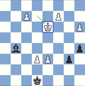Schach ist schwer! Das entscheidende Endspiel gegen Daniel Kopylov nach dem einzigen Zug Kd3!